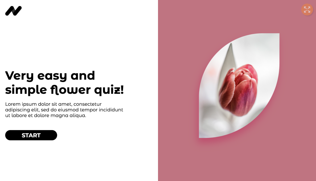 Simple Quiz with image and text
